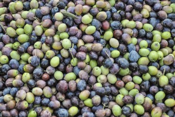 dietist oirschot kwaliteit