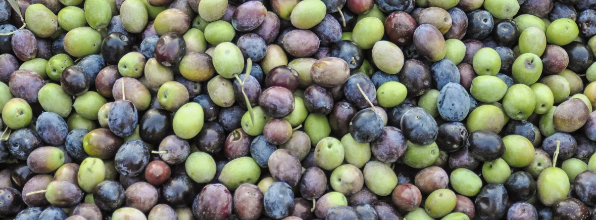 dietist oirschot kwaliteit