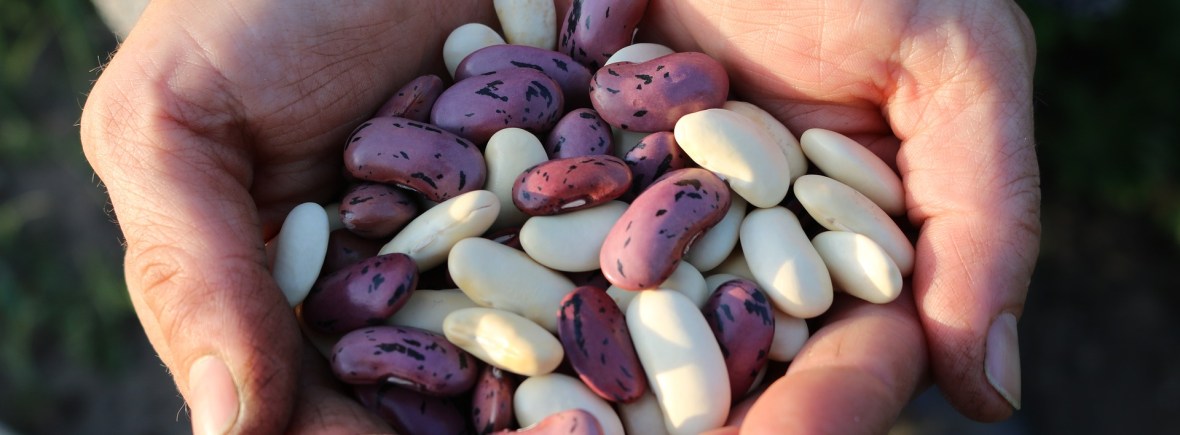 Vergoedingen en tarieven dieetbehandeling