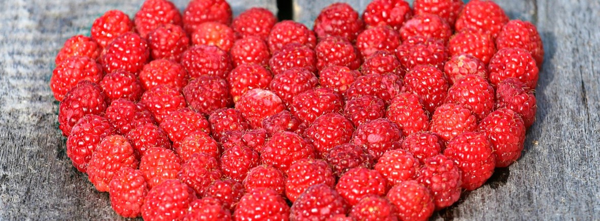 dieetadvies Oirschot, Hart- en vaatziekten