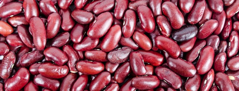 dieetadvies Oirschot, bruine bonen